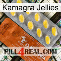 Kamagra Jellies 42